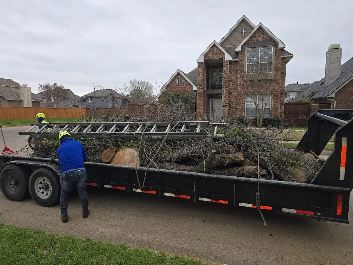Expert Lot Clearing with proper safety equipment in Crowder